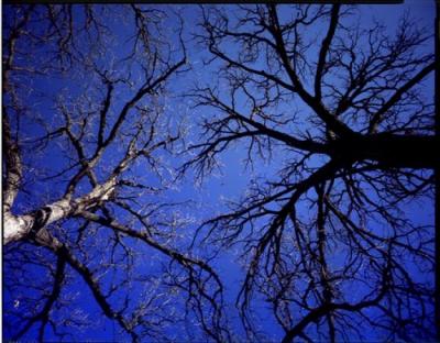 Otoe County, NE  January 26, 2002 by John Spence