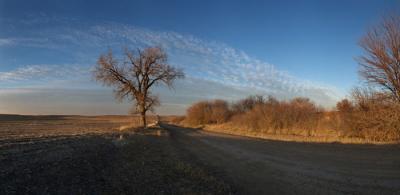 North of Rock Creek, Lancaster Co., NE, Dec. 1, 2009 by John Spence