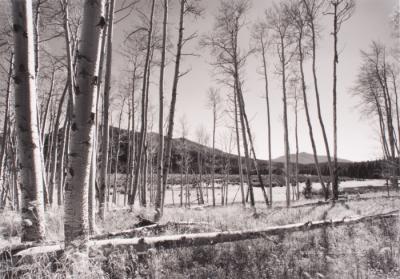Hinterlands WY - CO by Michael Farrell