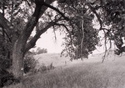 Hinterlands NE by Michael Farrell