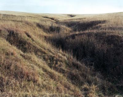 Spring Creek Afternoon by Michael Farrell